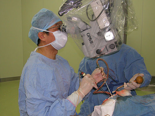 �Ϻ��{ʮ���X���t(y��)Ժ   �㕳� 