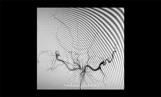 �g(sh��)�����(c��)�i����}��Ӱ