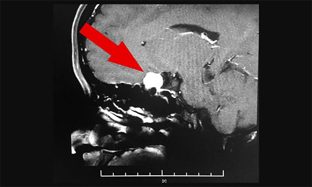 �XĤ���щ��Ȼ������ҕ�����輰�r���g�ί�