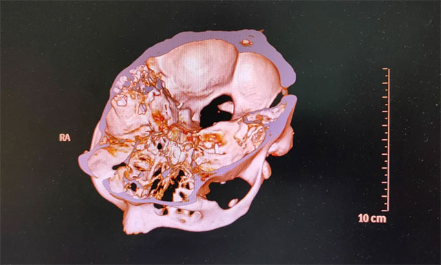 �黼���_չ���c���l�����g�ί�