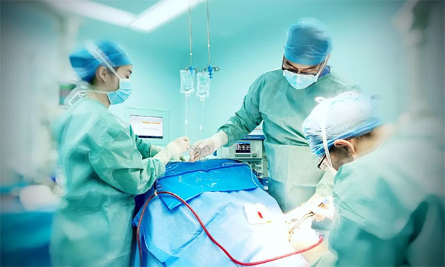 �����ˡ�����Ħ�в���ˤ���������B�X�p�� ��(j��ng)����t(y��)���F(tu��n)�(du��)�Bҹ���g(sh��)���仯�U(xi��n)����